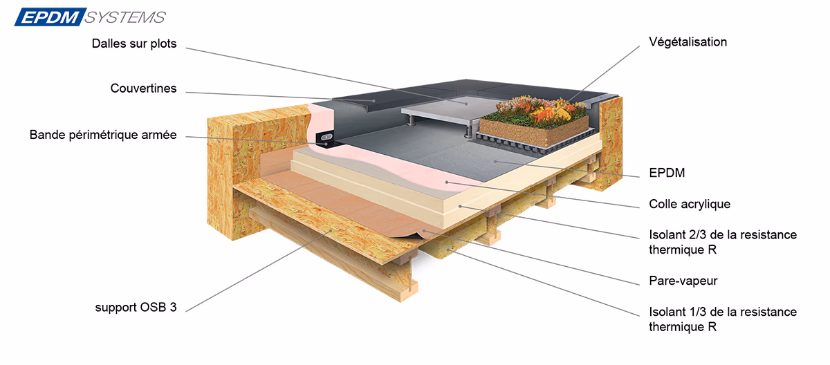 Coupe d'une toiture chaude sur support bois OSB : pare-vapeur, isolant réparti en deux couches et membrane EPDM